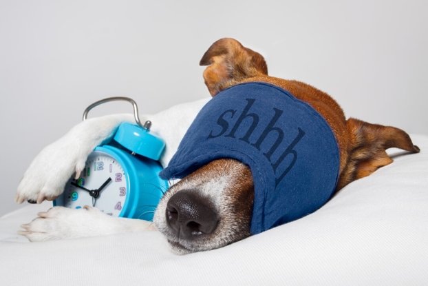 Sleep - The Best Ways to get you what you need & Easy Home Workouts